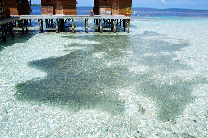 리조트 생태환경