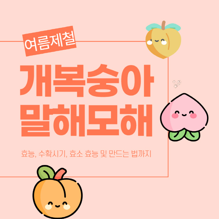 개복숭아 효능 수확시기 완벽정리(+개복숭아 효소 효능 만드는법)