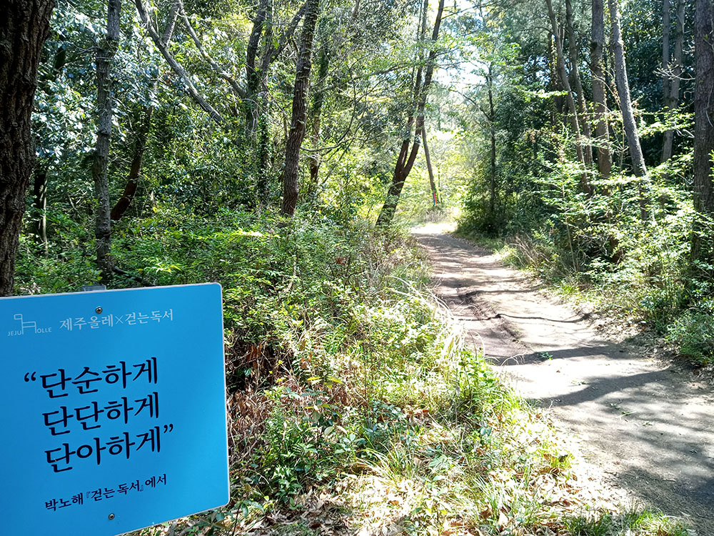 걷는 독서 박노해