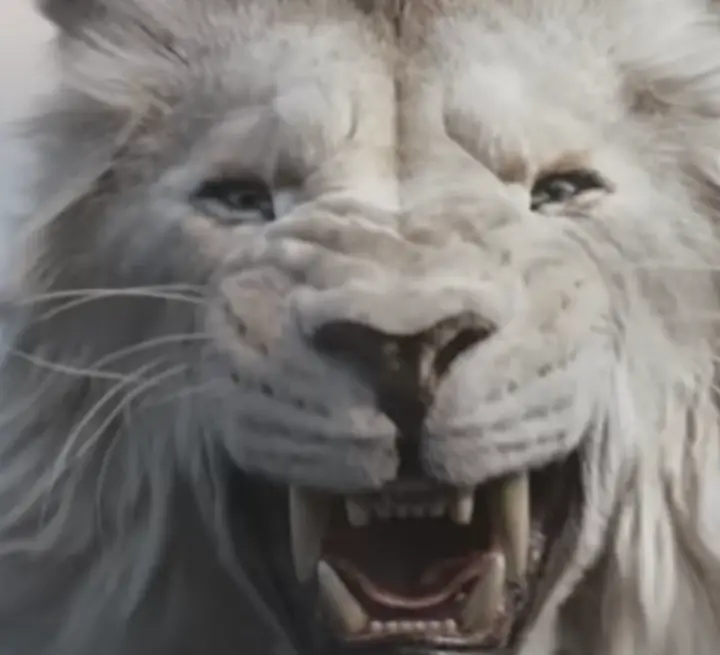 무파사 라이온킹 후기 & 백사자