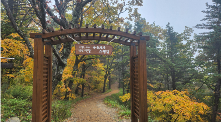 오대산 가을 단풍여행