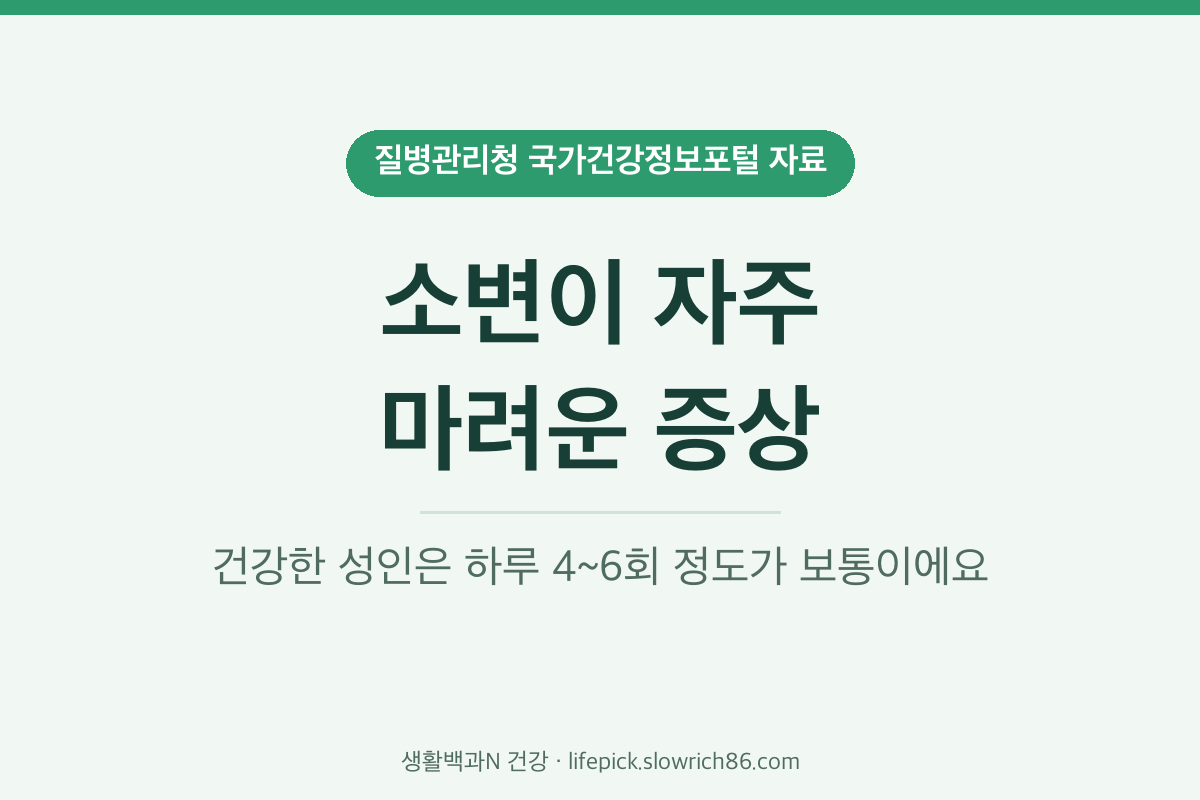 소변이 자주 마려운 증상 하루 4~6회 기준