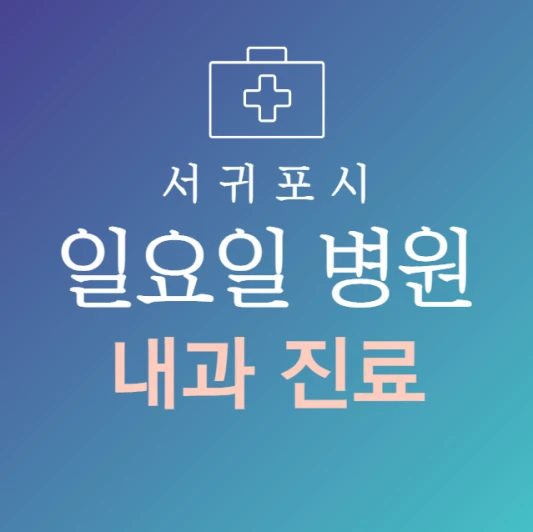 서귀포시-일요일-내과-문여는곳-주말에-진료하는-서귀포-24시간-내과-병원