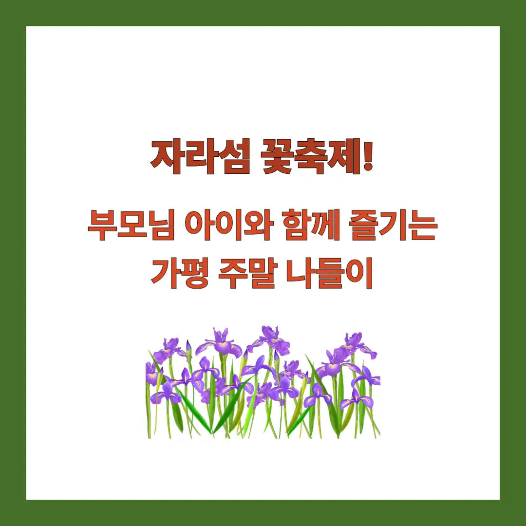 자라섬-꽃축제