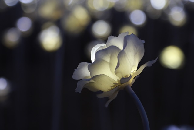 취득 후 취업분야