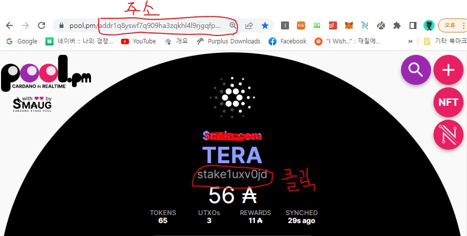 에이다-풀피엠