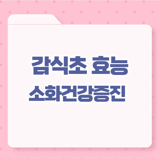 감식초 효능 소화건강증진