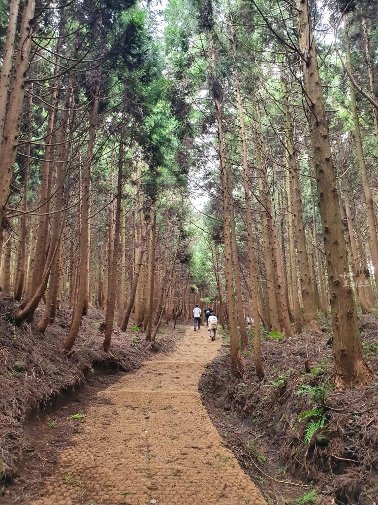 거문오름 시작지점