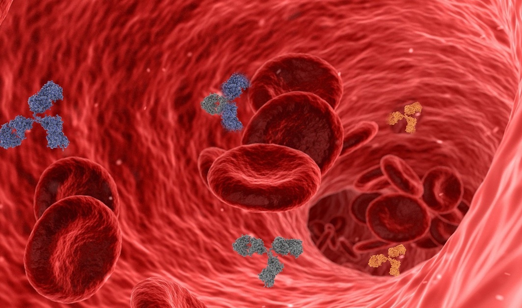 예전보다 감정 기복이 심해졌다면, 성격이 아니라 뇌의 혈당 스트레스!