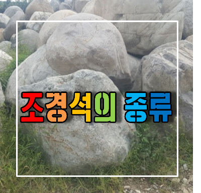조경석의 종류