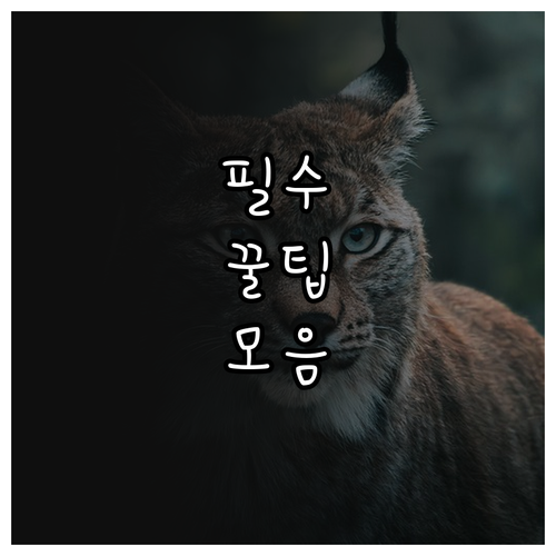 2025 고속도로 통행료 50% 할인..