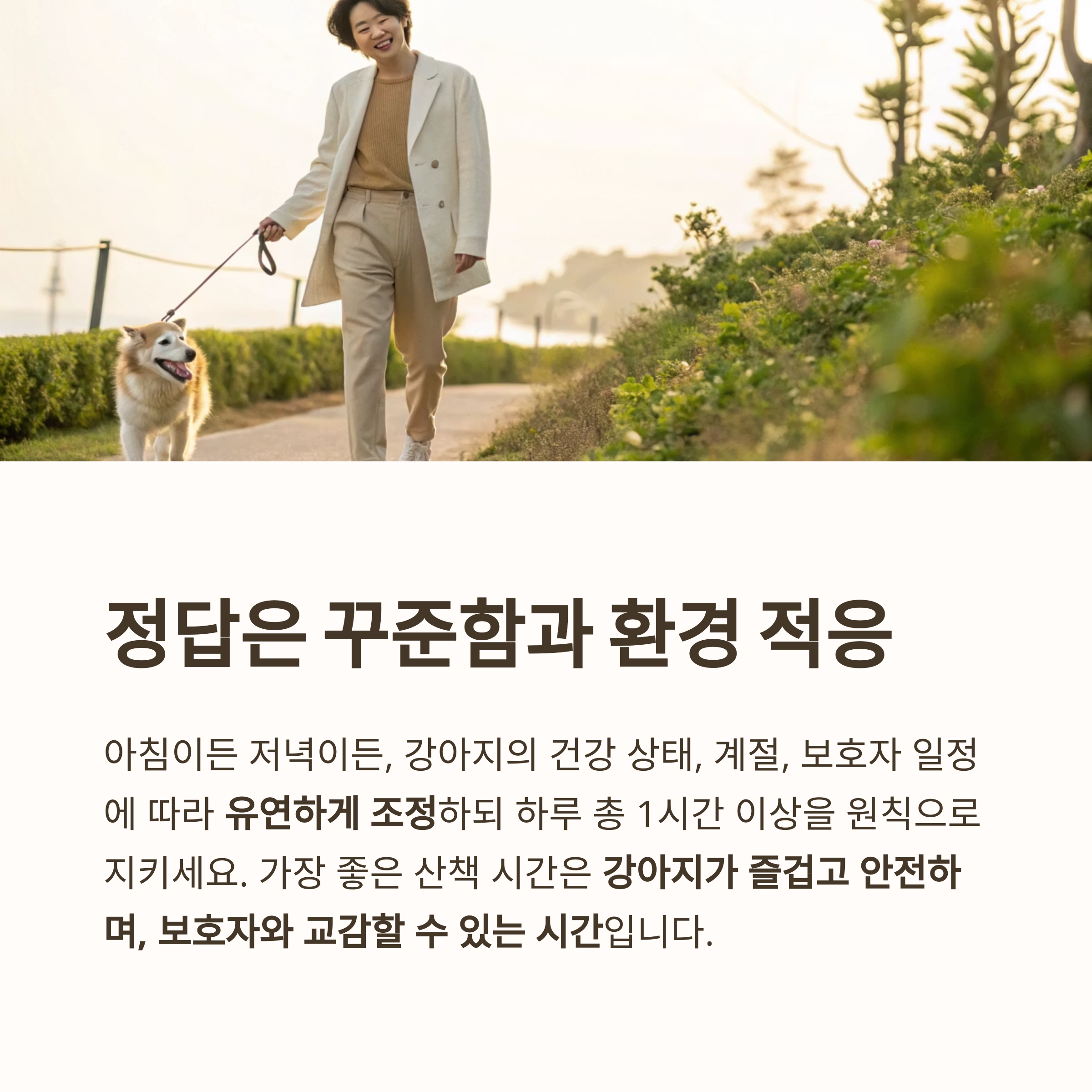 정답은 꾸준함과 환경 적응