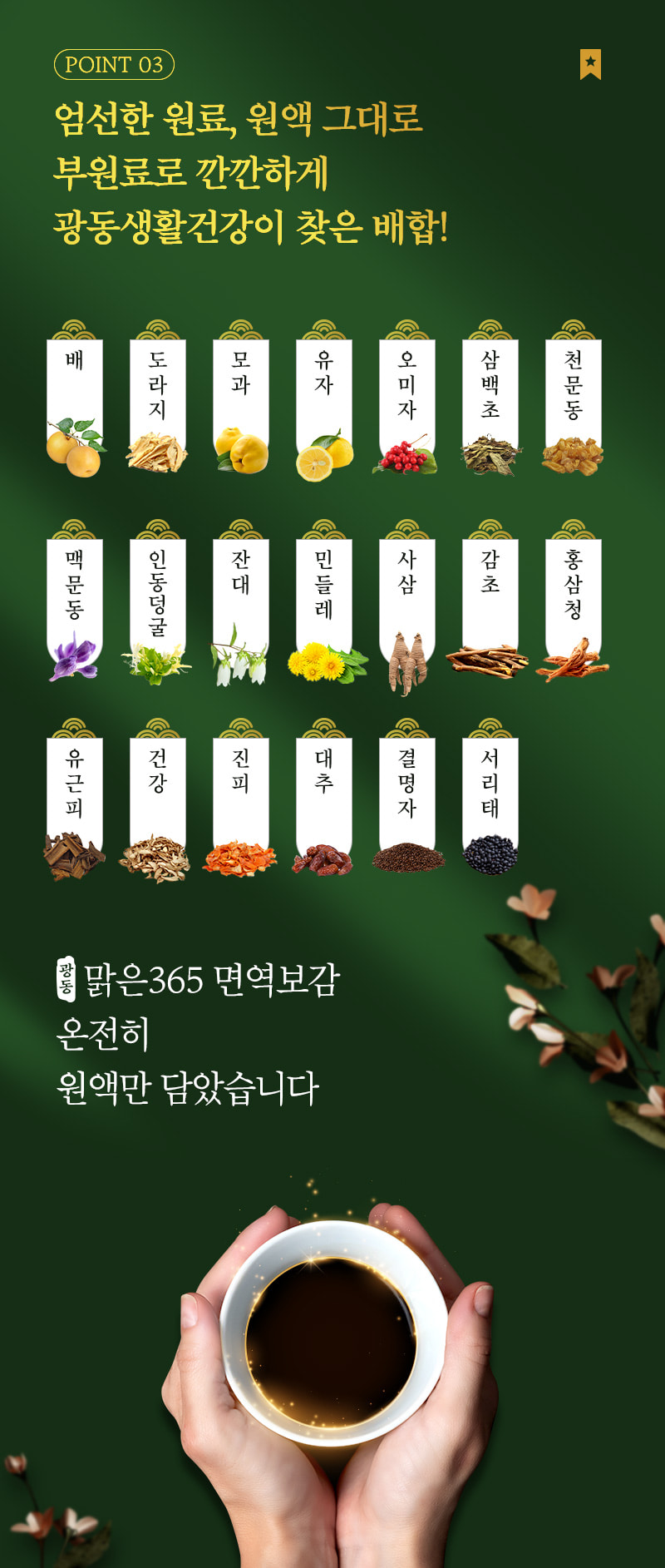 프로폴리스 추천 광동 맑은 365 면역보감