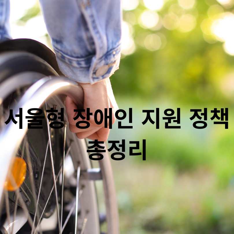 서울형 장애인 지원 정책 총정리