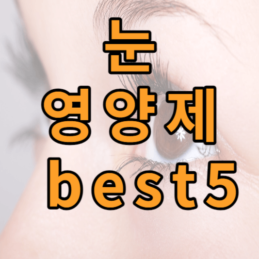 눈영양제