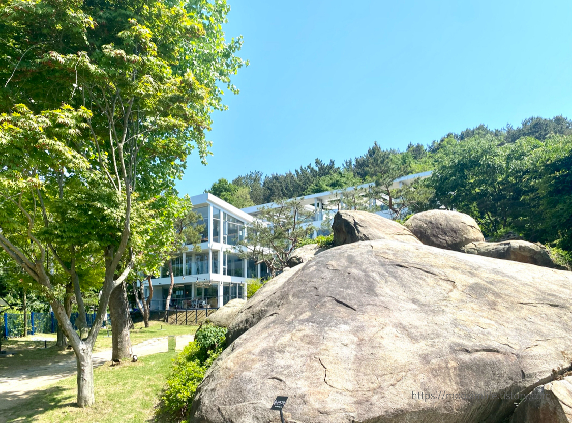 대청호카페-롤라-브런치카페