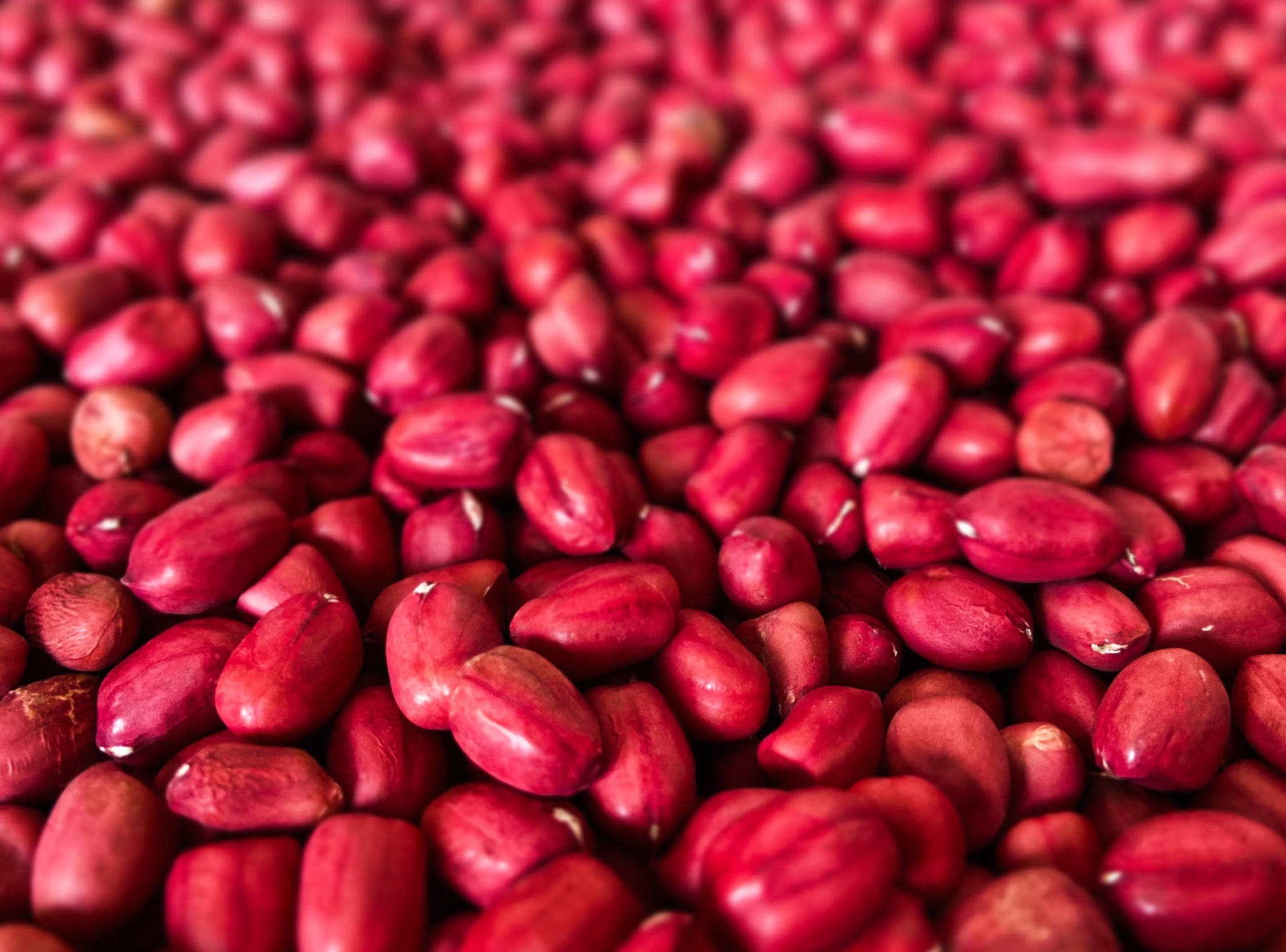 붓기 빠지는 차