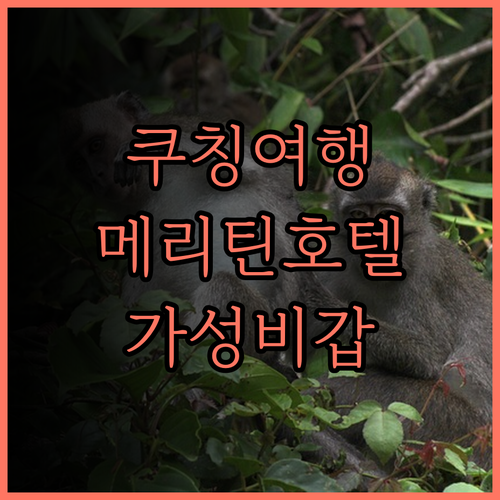 가성비 최고! 메리틴 호텔, 쿠칭 여