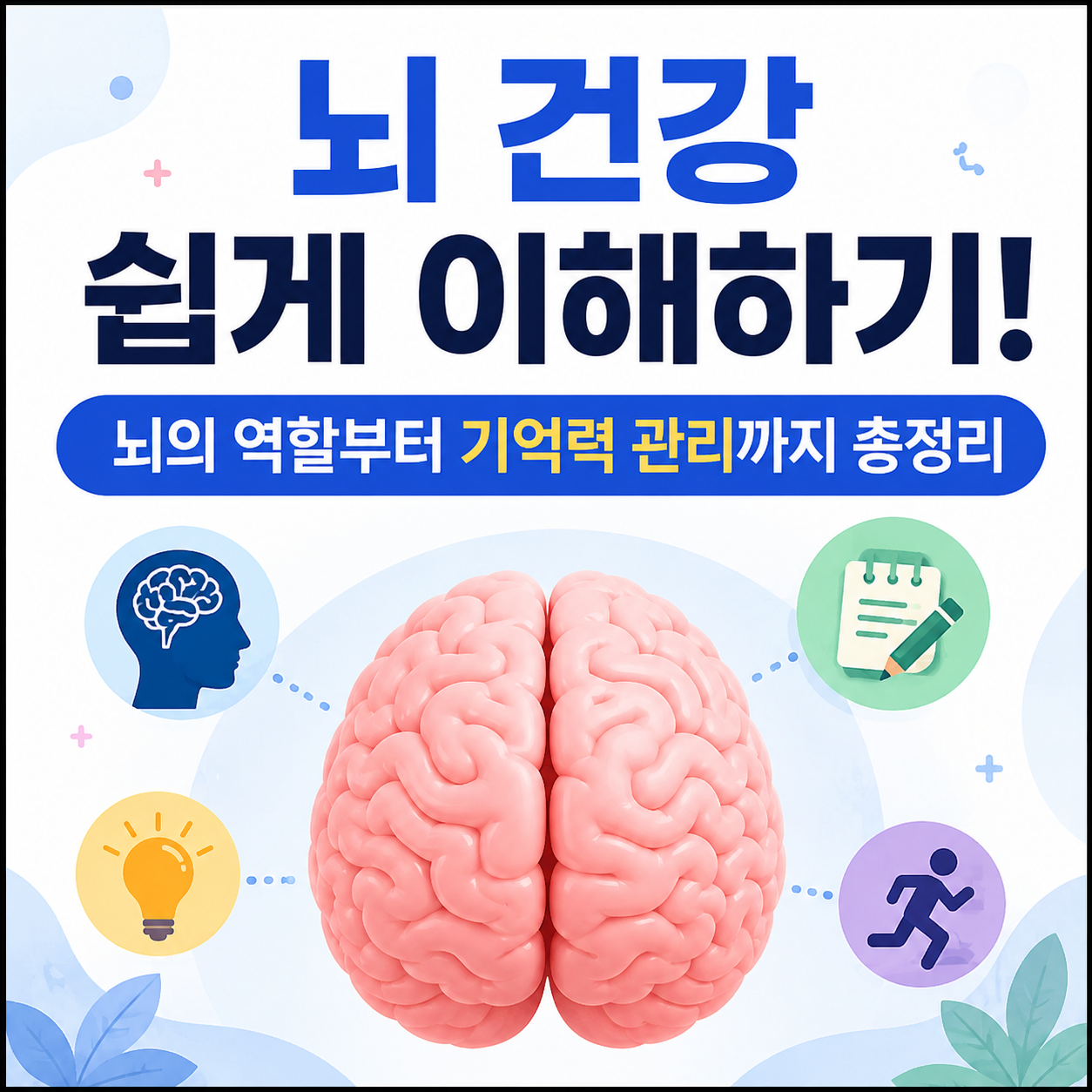 뇌 건강