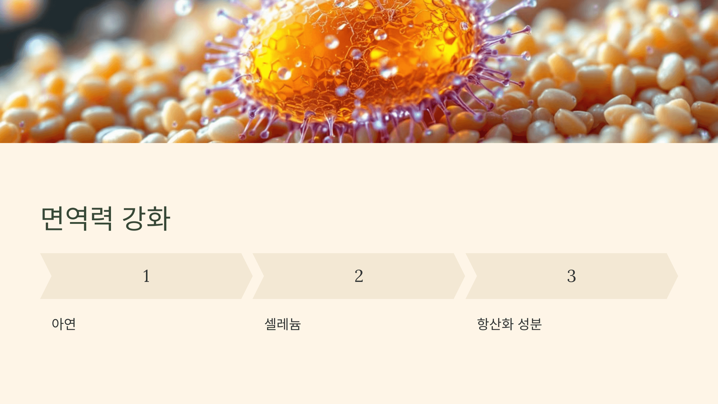 파로 효소와 관련된 사진입니다.