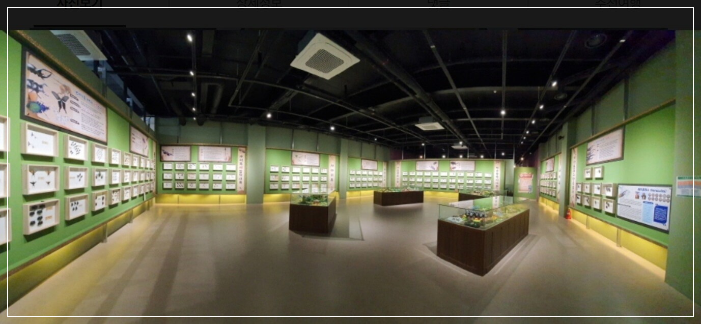 여주 가볼만한곳 베스트10 여주곤충박물관