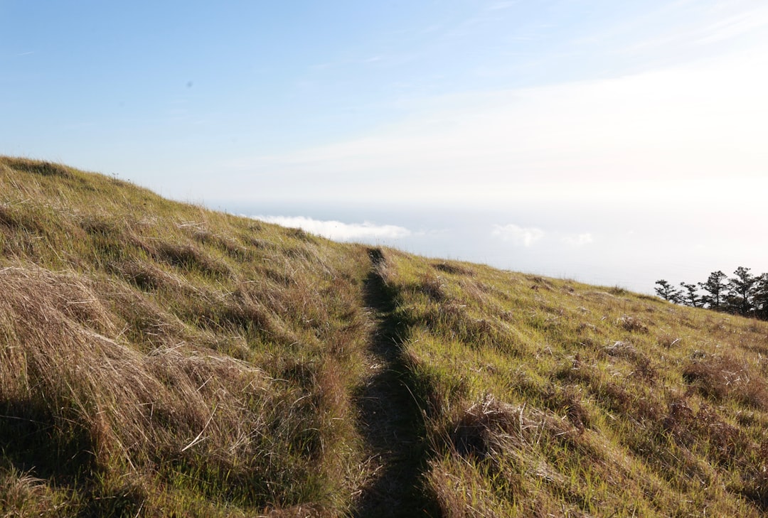Trail.