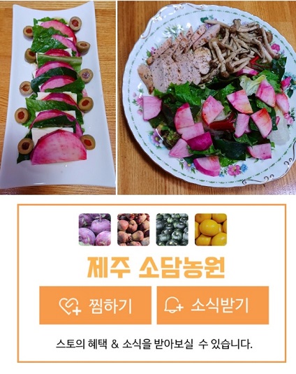 6시내고향-제주-복숭아순무