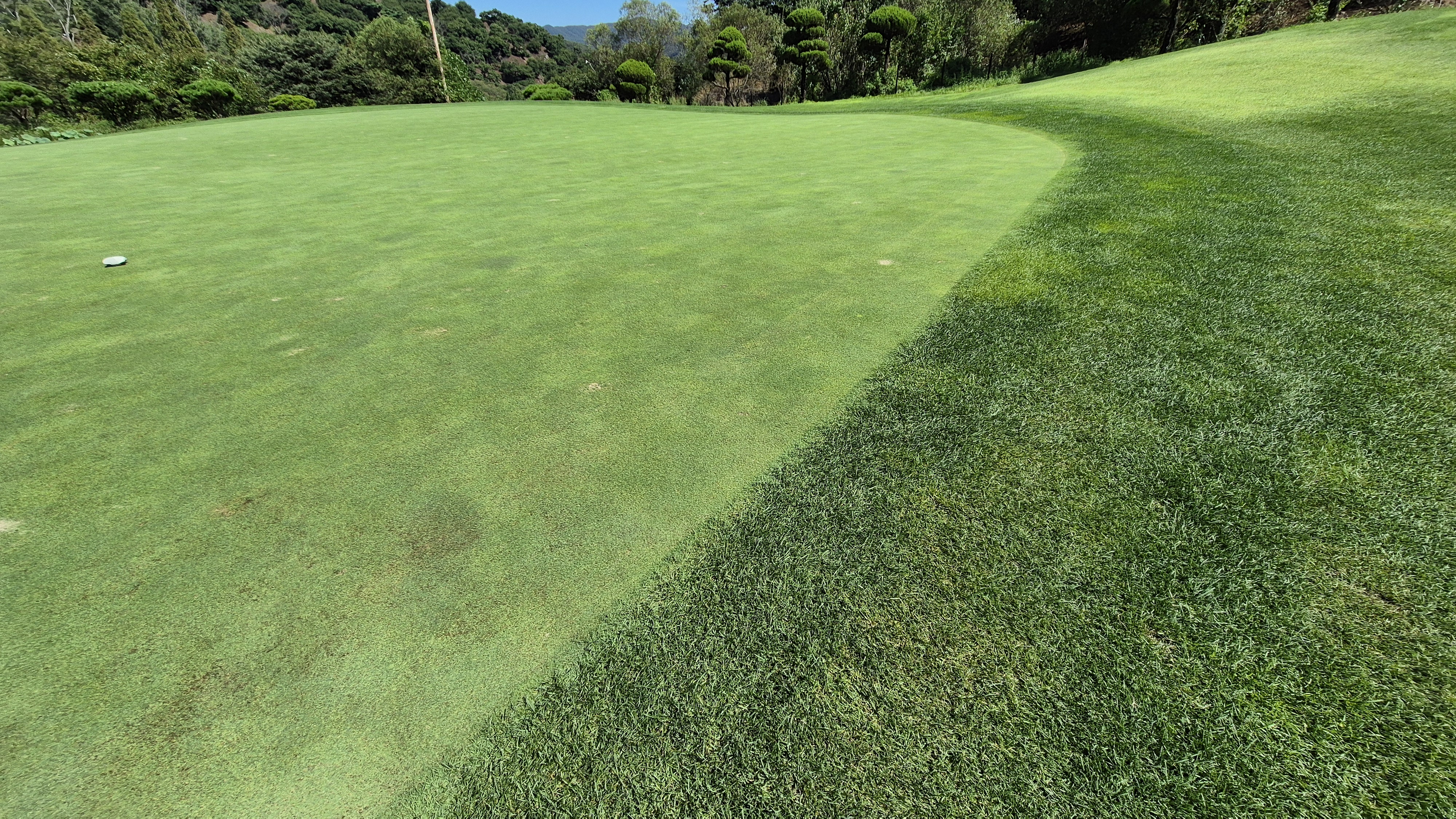 마론cc 라운드 후기