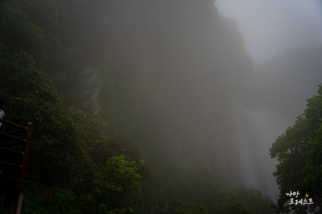 엉또 폭포 안개