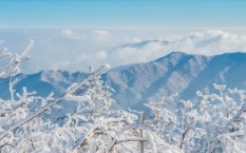 덕유산 곤도라 예약 요금 운행시간