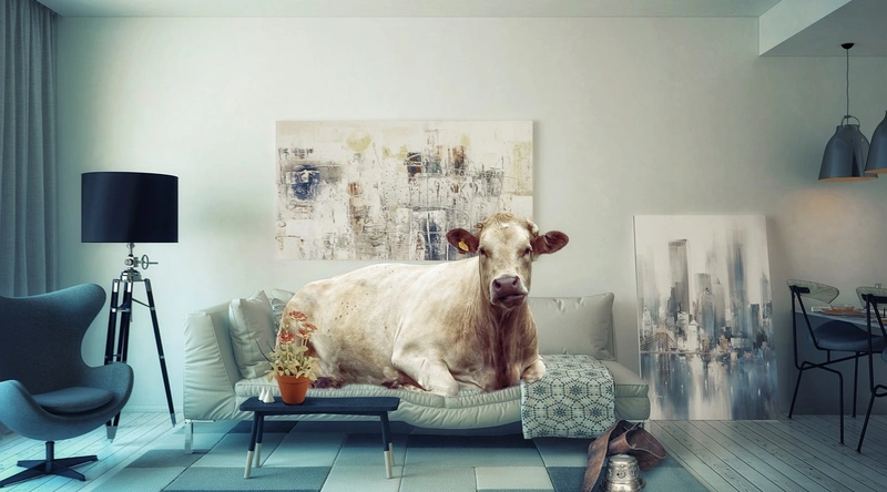 1. 아파트 리모델링이란?