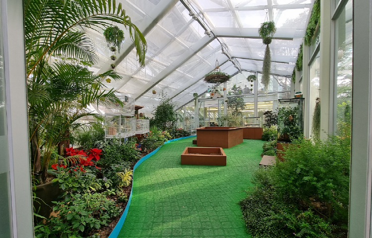 부천호수식물원 수피아