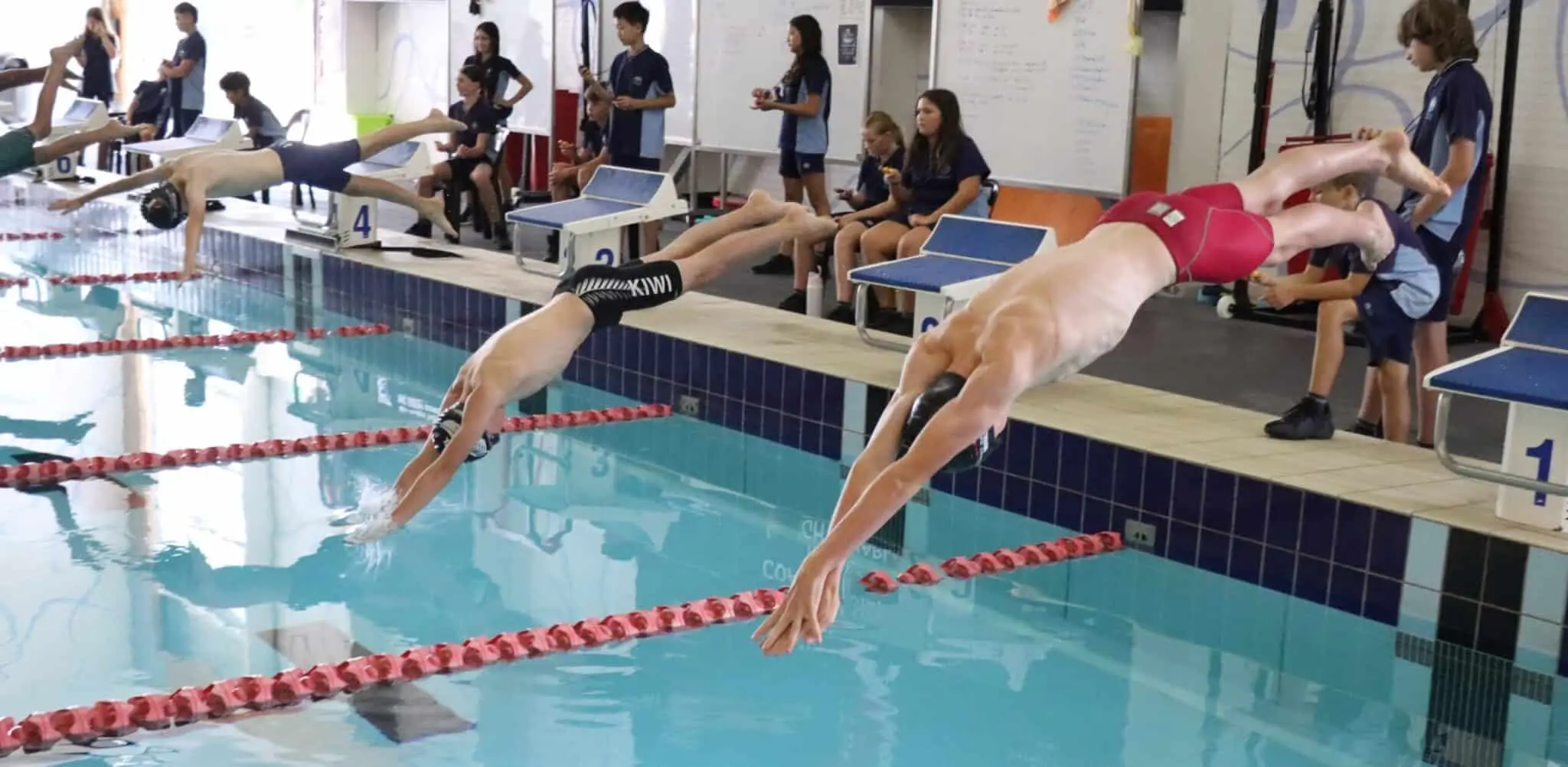 노스크로스 인터미디어트