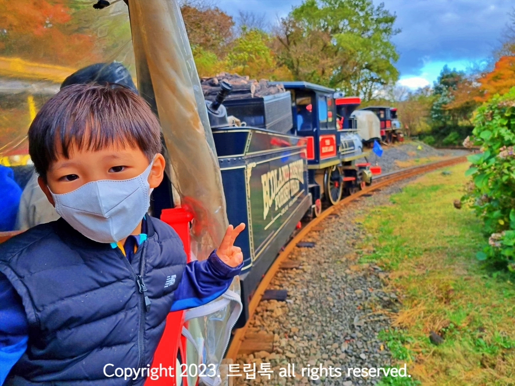 숲을 지나는 기다란 열차를 타고 브이를 한 아이