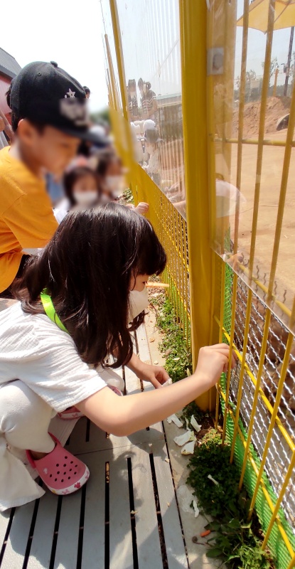 토끼에게 밥주는 쿠앙이