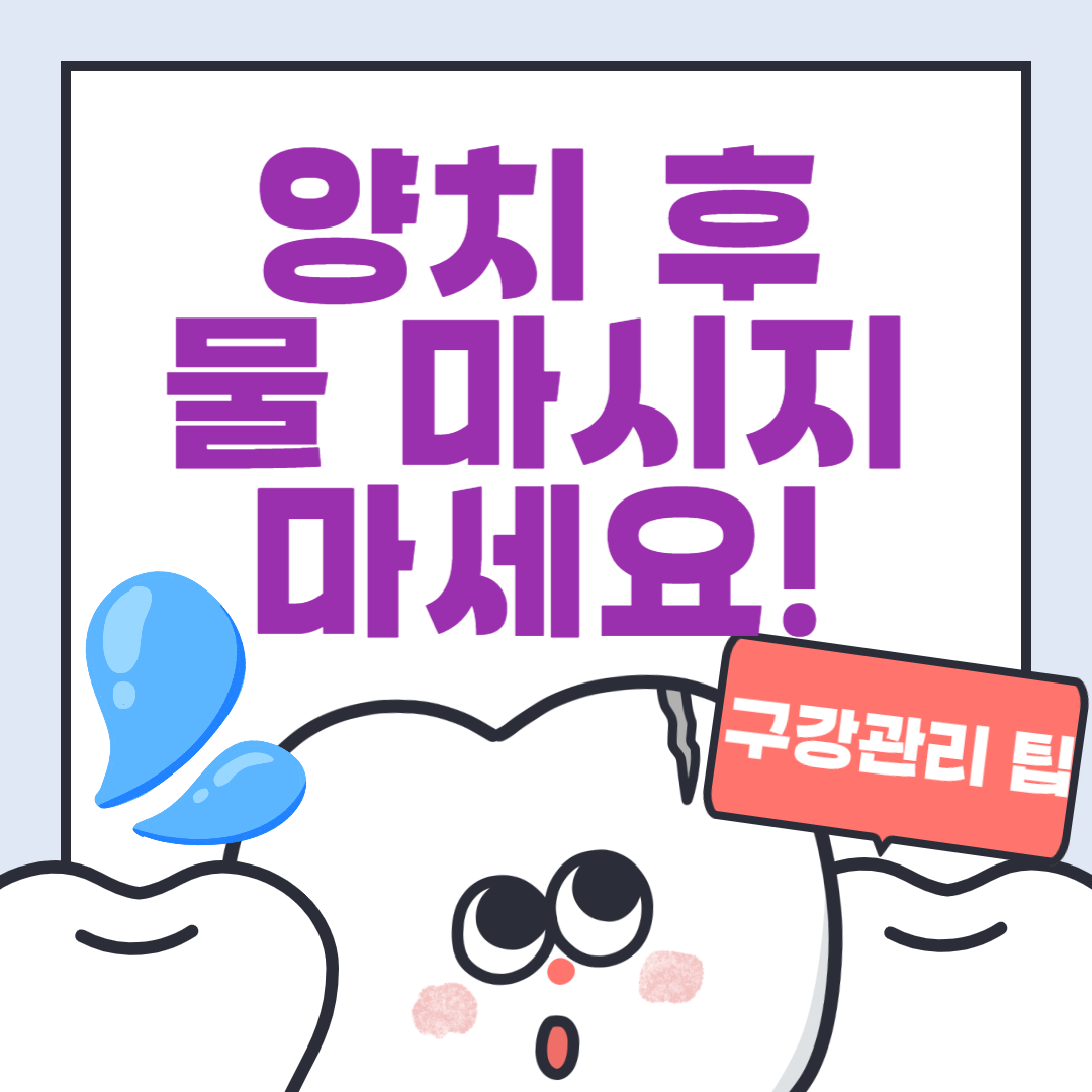 양치 후 물 마시지 마세요! 놓치기 쉬운 구강관리 팁