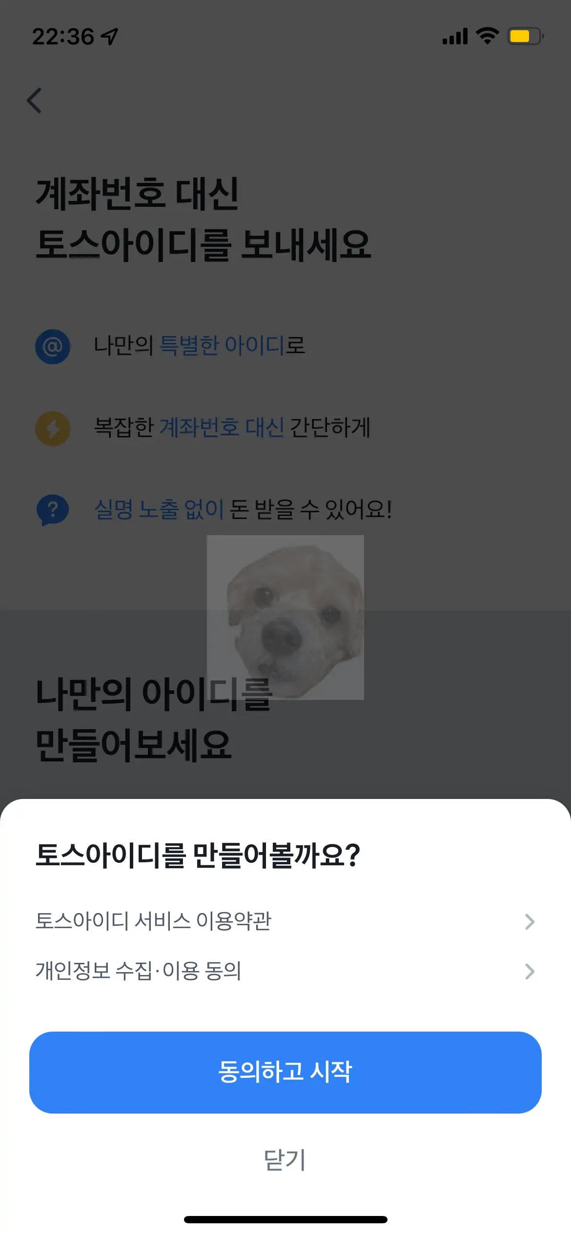약관 동의 사진