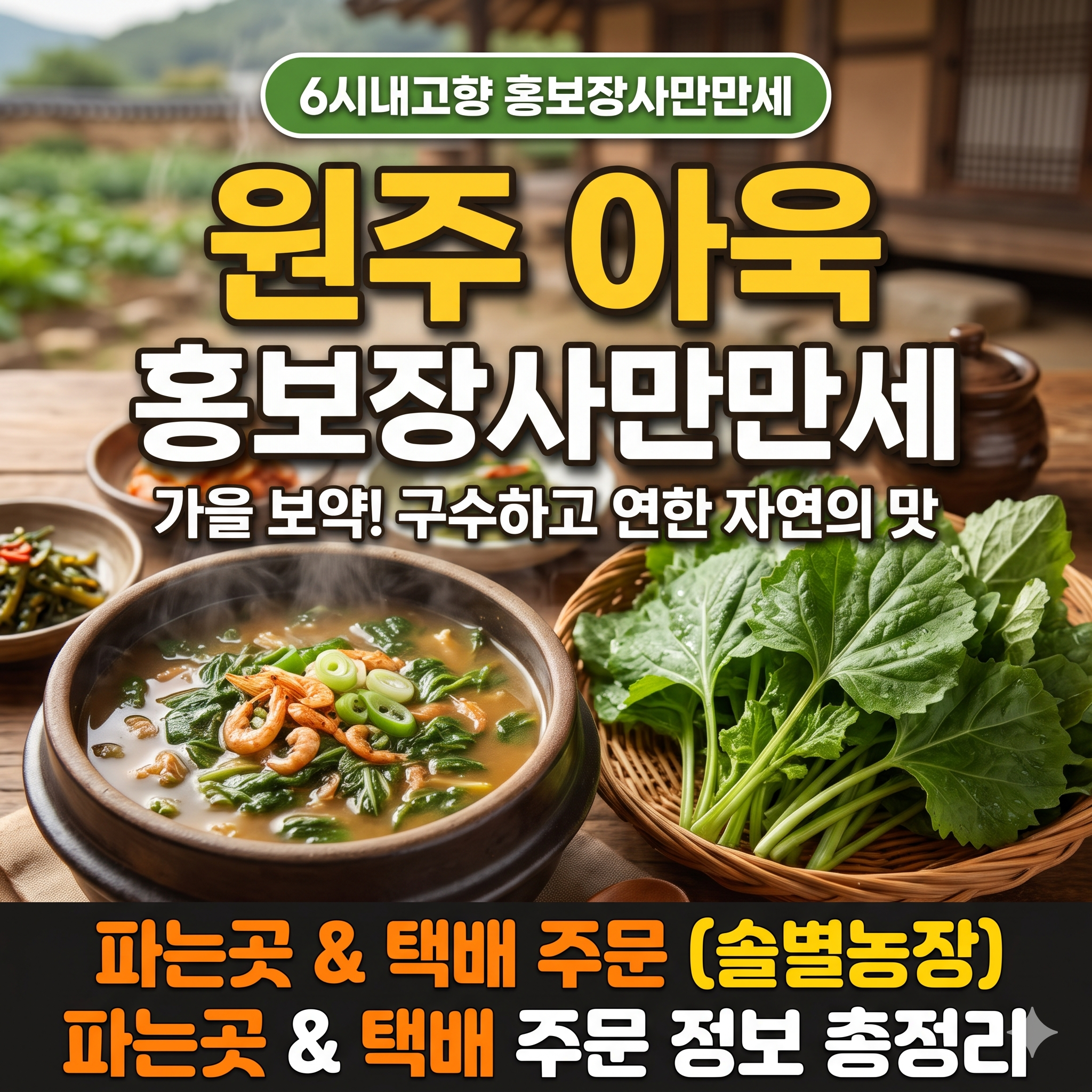 6시내고향 홍보장사만만세 원주 아욱