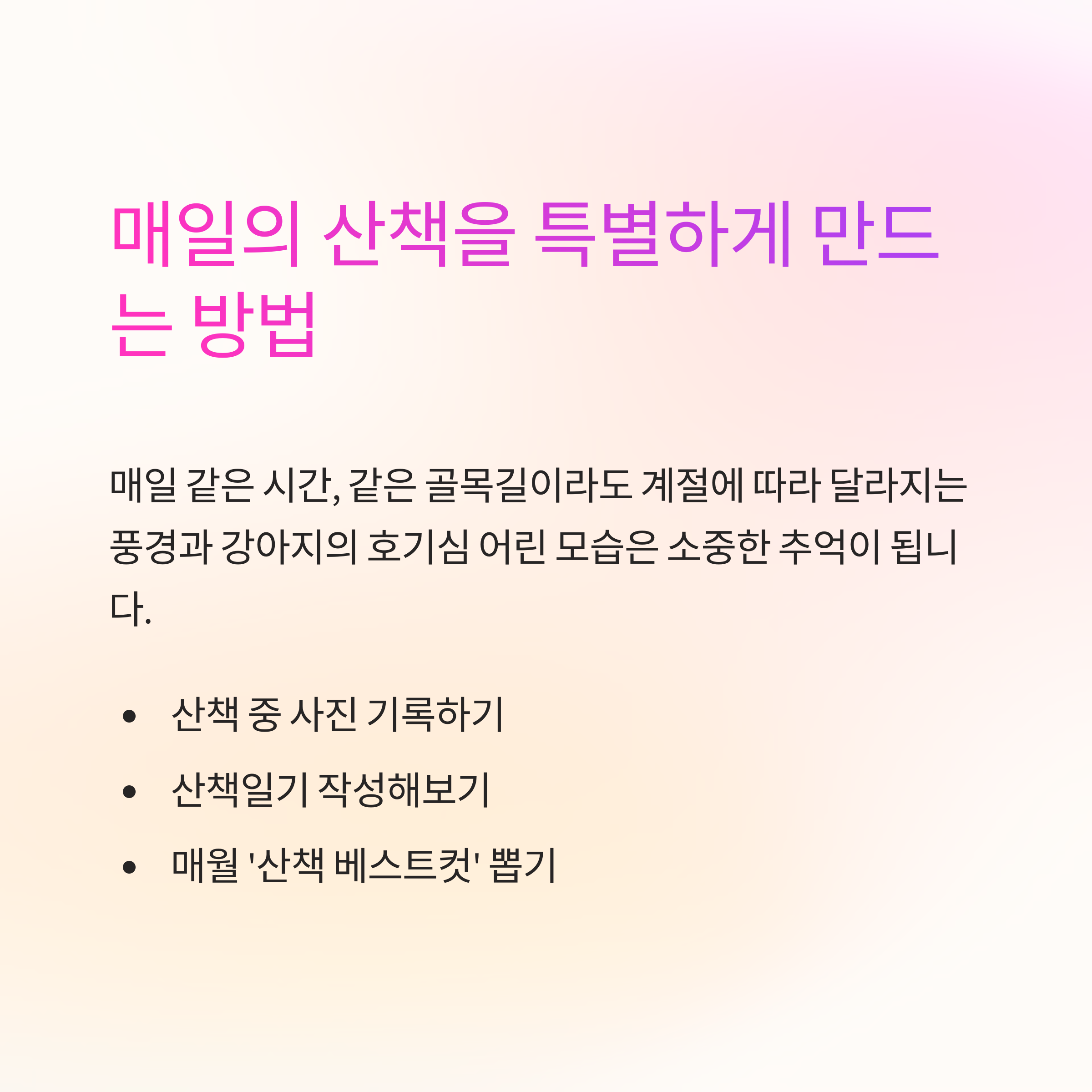 매일의 산책