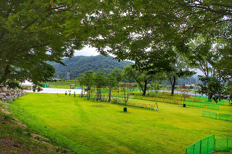 강원도 삼척 미로파크골프장 소개