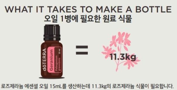 로즈제라늄 오일 생산에 필요한 식물의 양 이미지