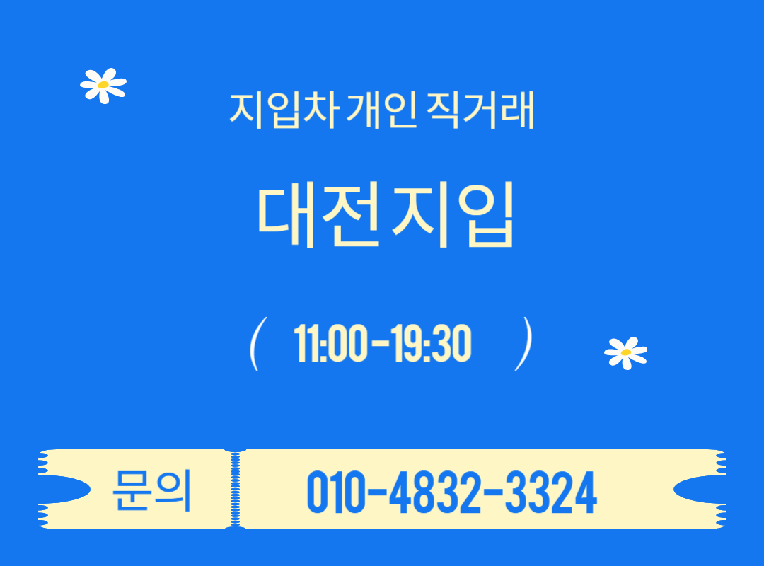 대전지입