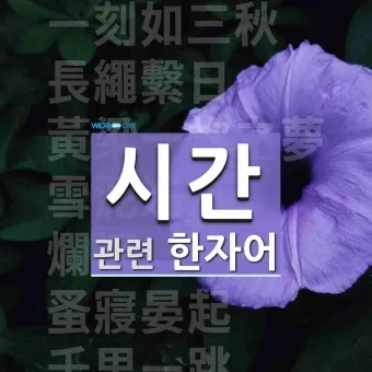 시간과 세월에 대한 사자성어들 흐르는 시간을 이해하는 자료집_3
