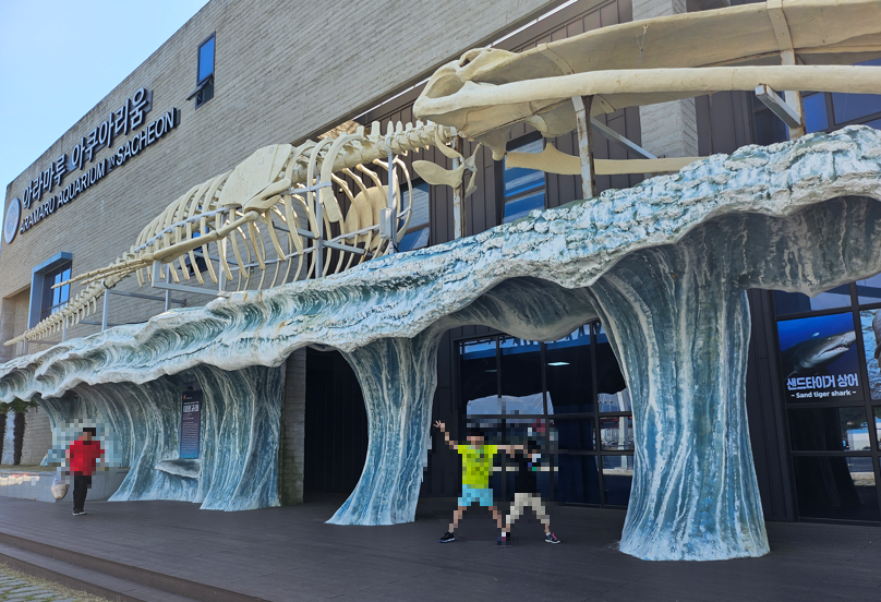 아라마루 아쿠아리움 사진