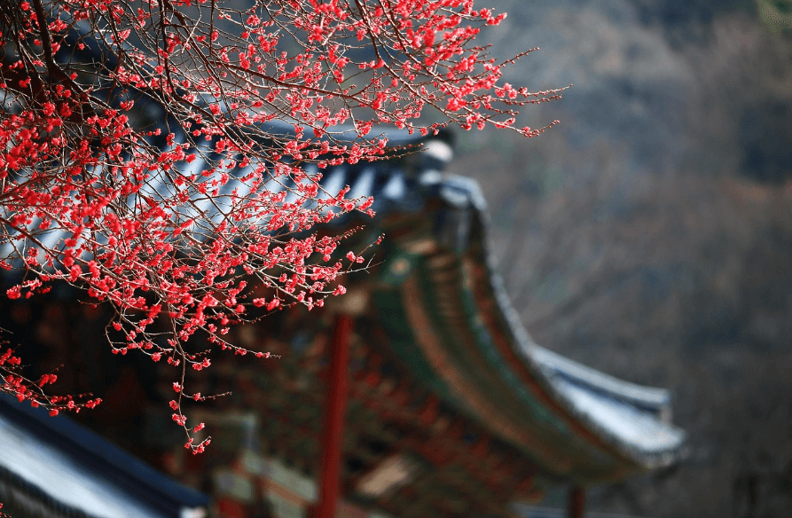 세계유산 남한산성 축제 관련 이미지