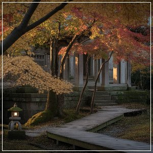 2025년 단풍 절정 시기 - 강원·경상권 단풍 명소(도심 산책형) 가상 이미지