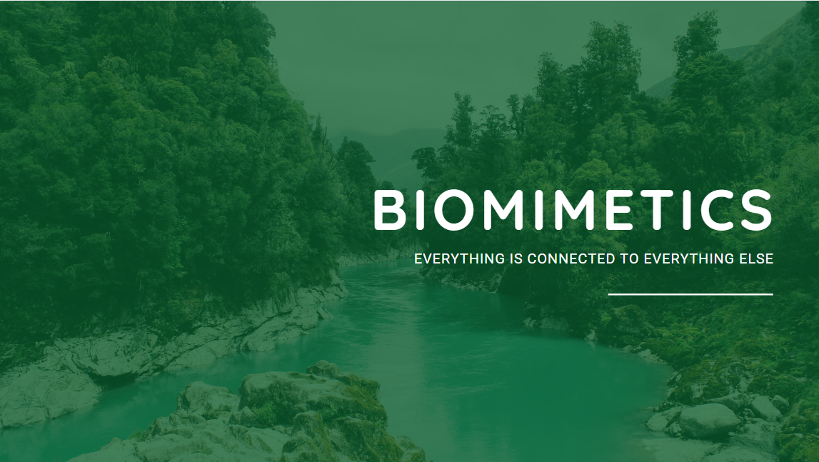 생체모방과 관련된 이미지입니다