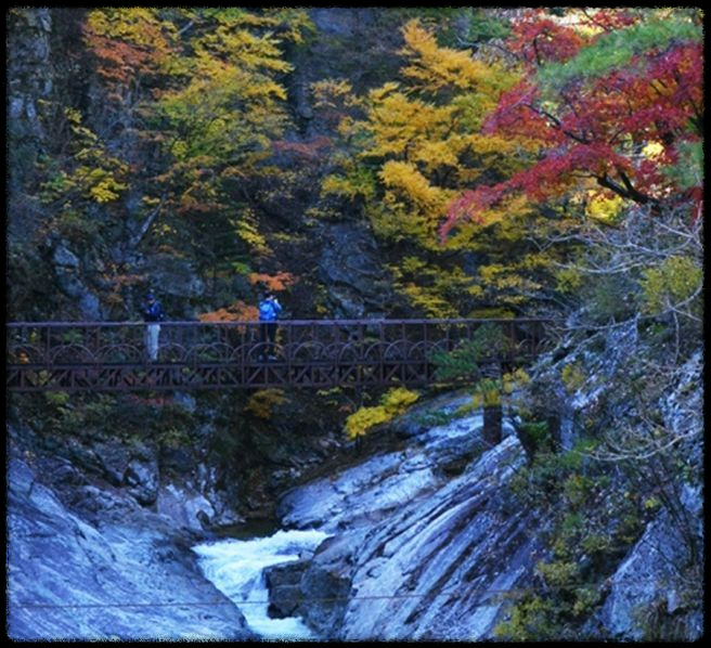 2024 가을&amp;#44; 국내 단풍 명소 추천: 절정 시기와 여행 팁까지 완벽 가이드