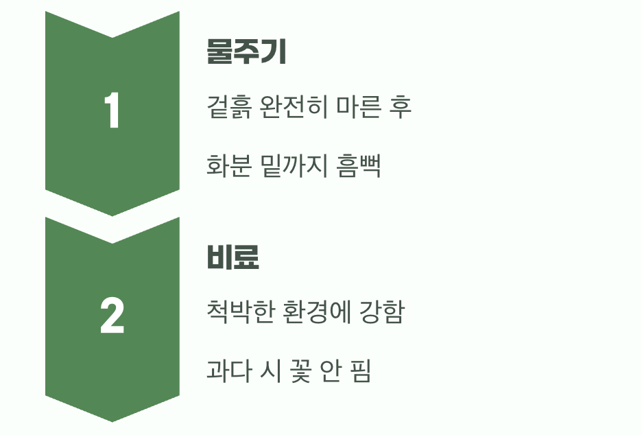 3. 물과 양분, 욕심내지 않기