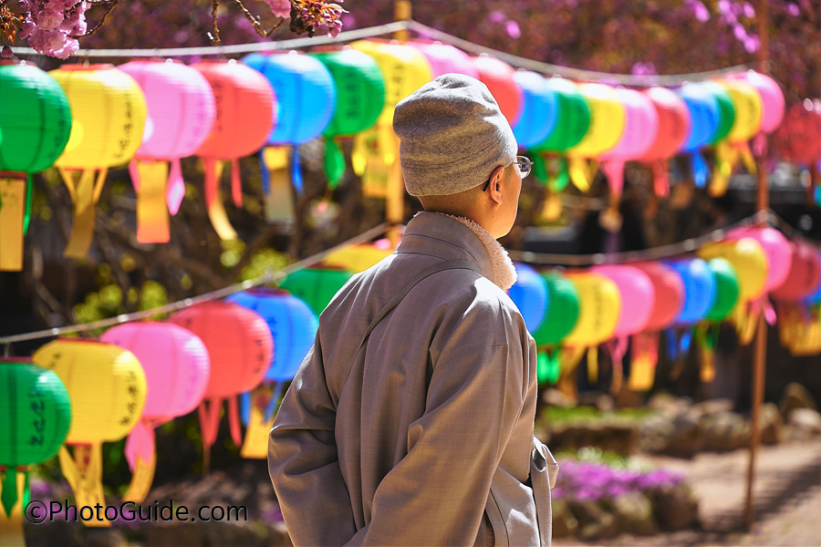 순천-선암사-포토가이드